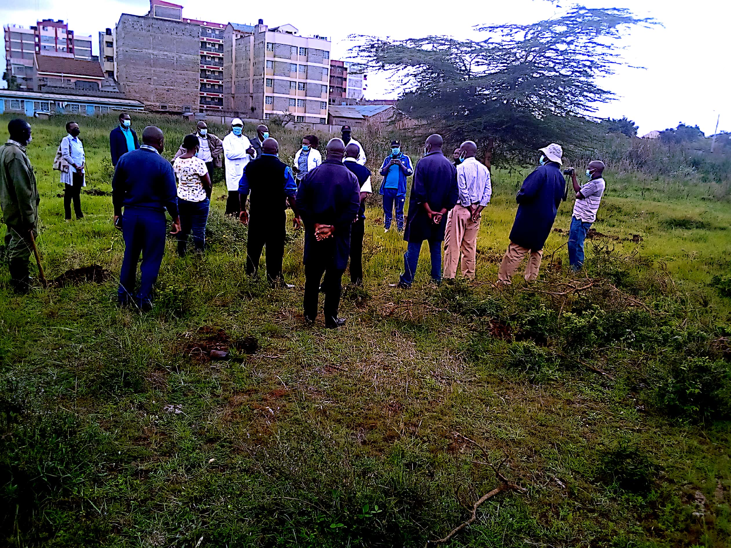 Karasani tree Planting