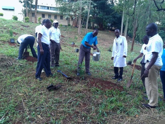 members of staff at the Central Transport Main office were seen planting trees and watering them.