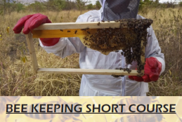 Invitation for applications - Short course on bee keeping